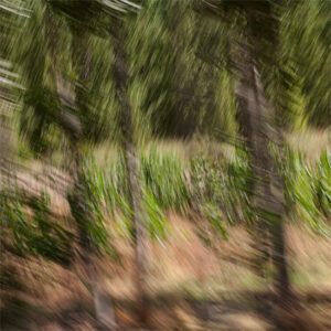 Serie de fotografía impresionista