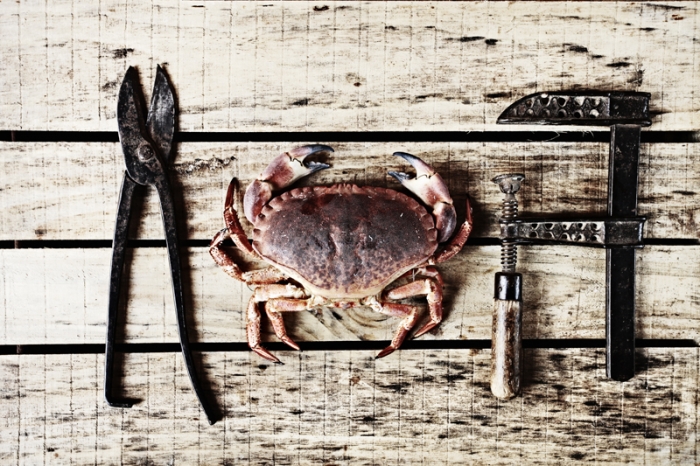 Nando Esteva campeón de la categoria Food Pro en el International Photo awards de 2012 - 1