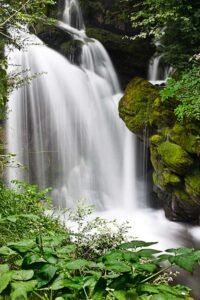 Fotografia artistica acerca del caracter – Foto 2