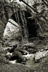 Fotografia artistica acerca del caracter – Foto 10