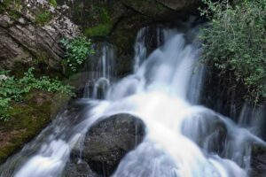 Fotografia artistica acerca del caracter – Foto 11