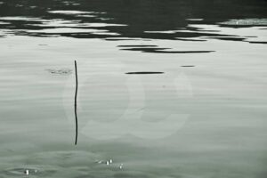 Fotografia artistica acerca del caracter – Foto 12