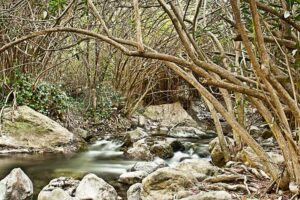 Fotografia artistica acerca del caracter – Foto 1