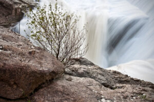 Fotografia artistica acerca del caracter – Foto 18