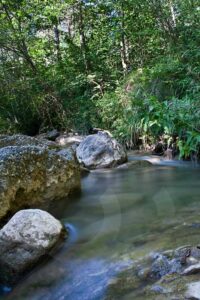 Fotografia artistica acerca del caracter – Foto 4