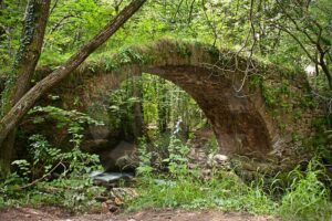 Fotografia artistica acerca del caracter – Foto 6