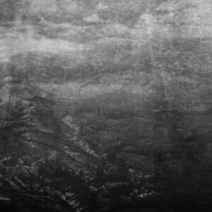 Fotografia artistica en blanco y negro formato 1:1 – Foto 2