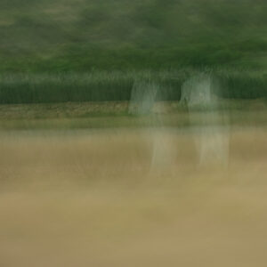 Fotografia artistica impresionista – Formato 1:1 – Foto 4