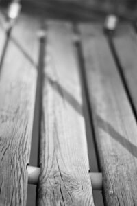 Fotografia conceptual blanco y negro – Pathology – Foto 2