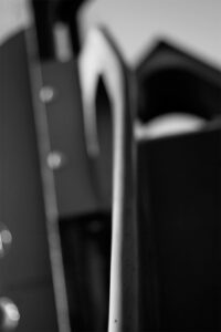 Fotografia conceptual blanco y negro – Pathology – Foto 10