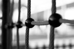 Fotografia conceptual blanco y negro – Pathology – Foto 11