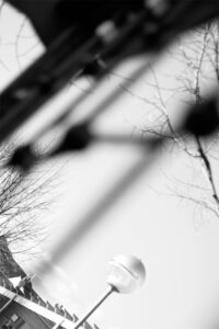 Fotografia conceptual blanco y negro – Pathology – Foto 12