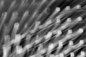 Fotografia conceptual blanco y negro – Pathology – Foto 17