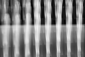 Fotografia conceptual blanco y negro – Pathology – Foto 19