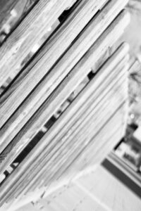 Fotografia conceptual blanco y negro – Pathology – Foto 3