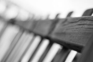 Fotografia conceptual blanco y negro – Pathology – Foto 6