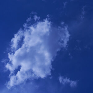 Fotografia artistica en color formato 1:1 – Foto 9