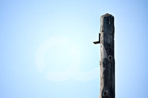 Fotografia artisica de mobiliario urbano – Foto 33