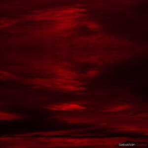 Foto nº 3 de la serie sick way to love