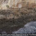 Profoto a prueba con Edu Marín