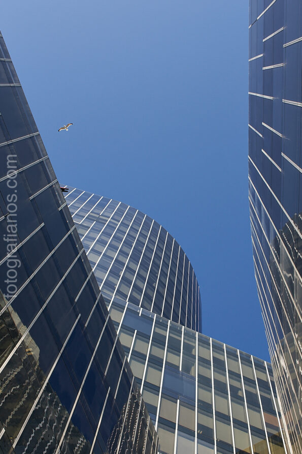 Fotografía corporativa para empresas completo