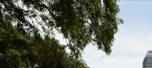 esquina-superior-izquierda-detalle-prueba